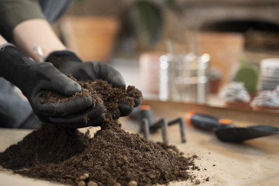 Mélanger le compost avec du sol